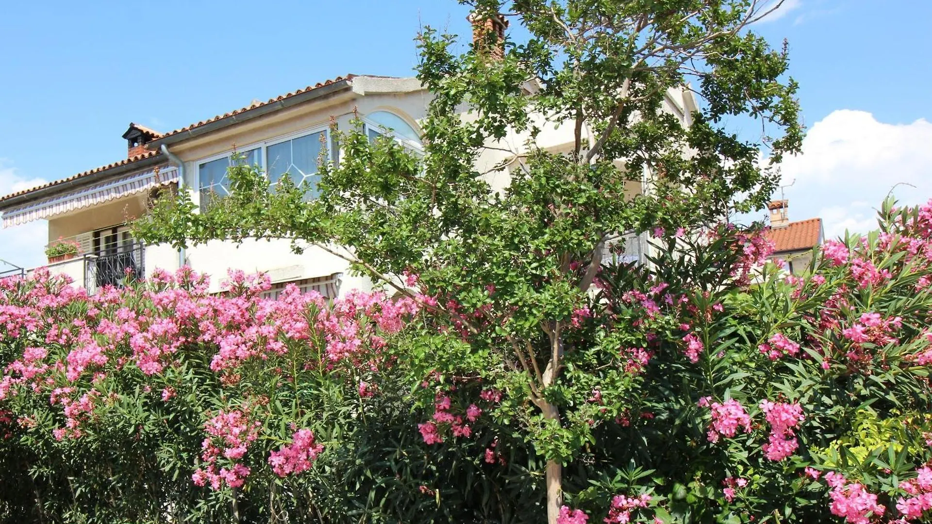 Appartement Ferienwohnung Gina Mit Terrasse, Grill Und Liegen Poreč Kroatië